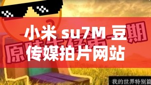 小米 su7M 豆传媒拍片网站：是道德的沦丧还是人性的扭曲？