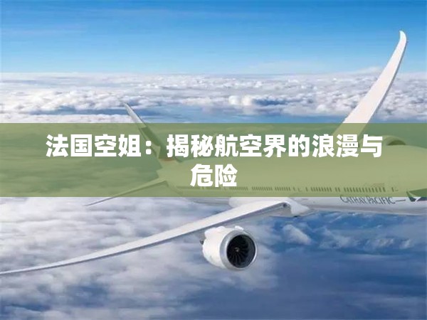 法国空姐：揭秘航空界的浪漫与危险