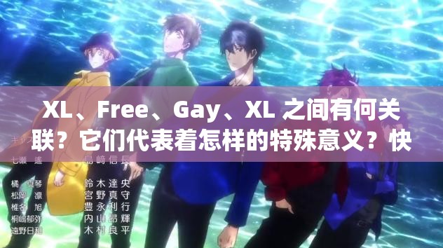 XL、Free、Gay、XL 之间有何关联？它们代表着怎样的特殊意义？快来一探究竟