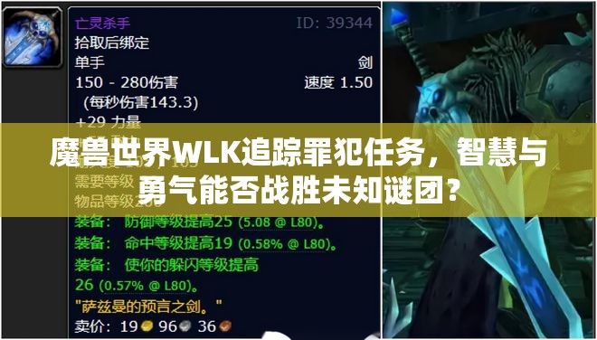 魔兽世界WLK追踪罪犯任务，智慧与勇气能否战胜未知谜团？