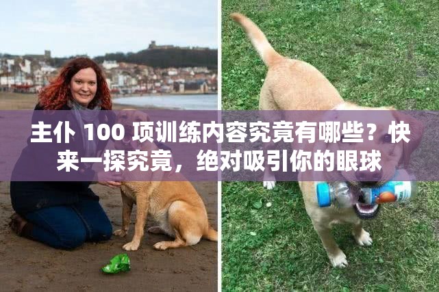 主仆 100 项训练内容究竟有哪些？快来一探究竟，绝对吸引你的眼球