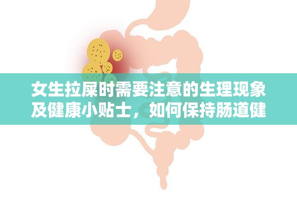 女生拉屎时需要注意的生理现象及健康小贴士，如何保持肠道健康与舒适体验