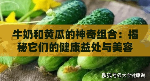 牛奶和黄瓜的神奇组合：揭秘它们的健康益处与美容功效，你一定不能错过