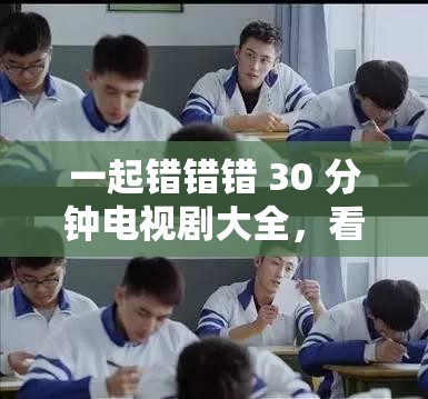 一起错错错 30 分钟电视剧大全，看了会上瘾