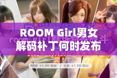 ROOM Girl男女解码补丁何时发布？未来玩法将带来哪些革命性变化？