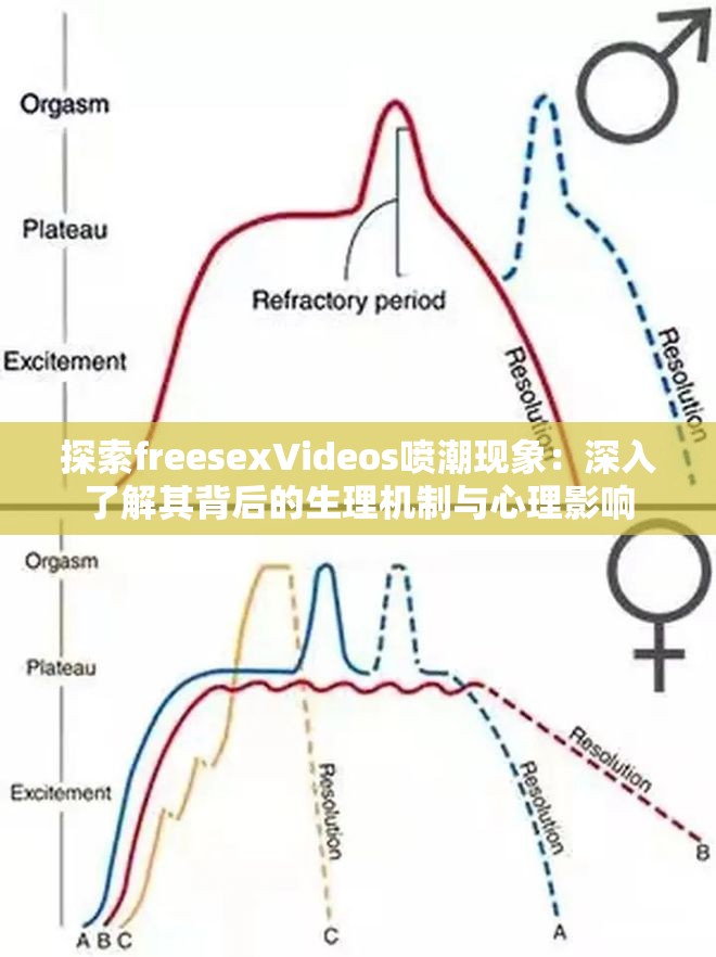 探索freesexVideos喷潮现象：深入了解其背后的生理机制与心理影响