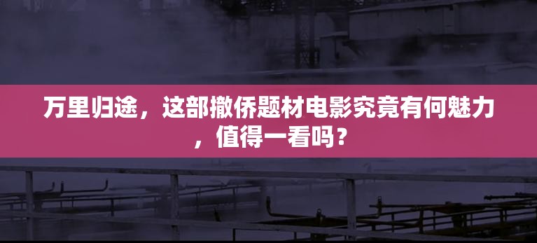 万里归途，这部撤侨题材电影究竟有何魅力，值得一看吗？