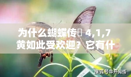 为什么蝴蝶传禖 4,1,7 黄如此受欢迎？它有什么独特之处？