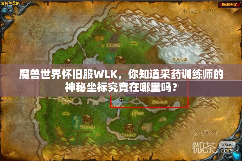 魔兽世界怀旧服WLK，你知道采药训练师的神秘坐标究竟在哪里吗？