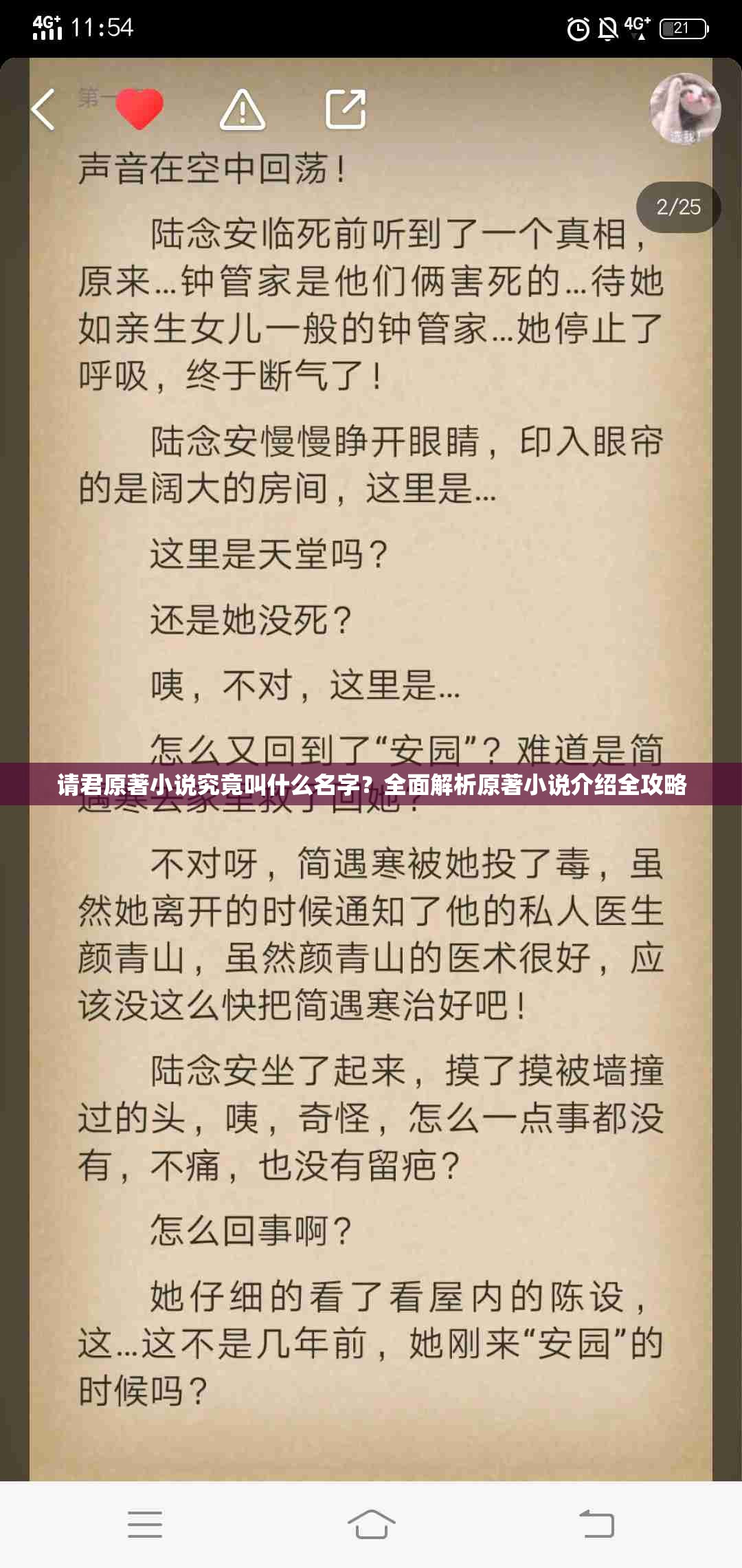 请君原著小说究竟叫什么名字？全面解析原著小说介绍全攻略