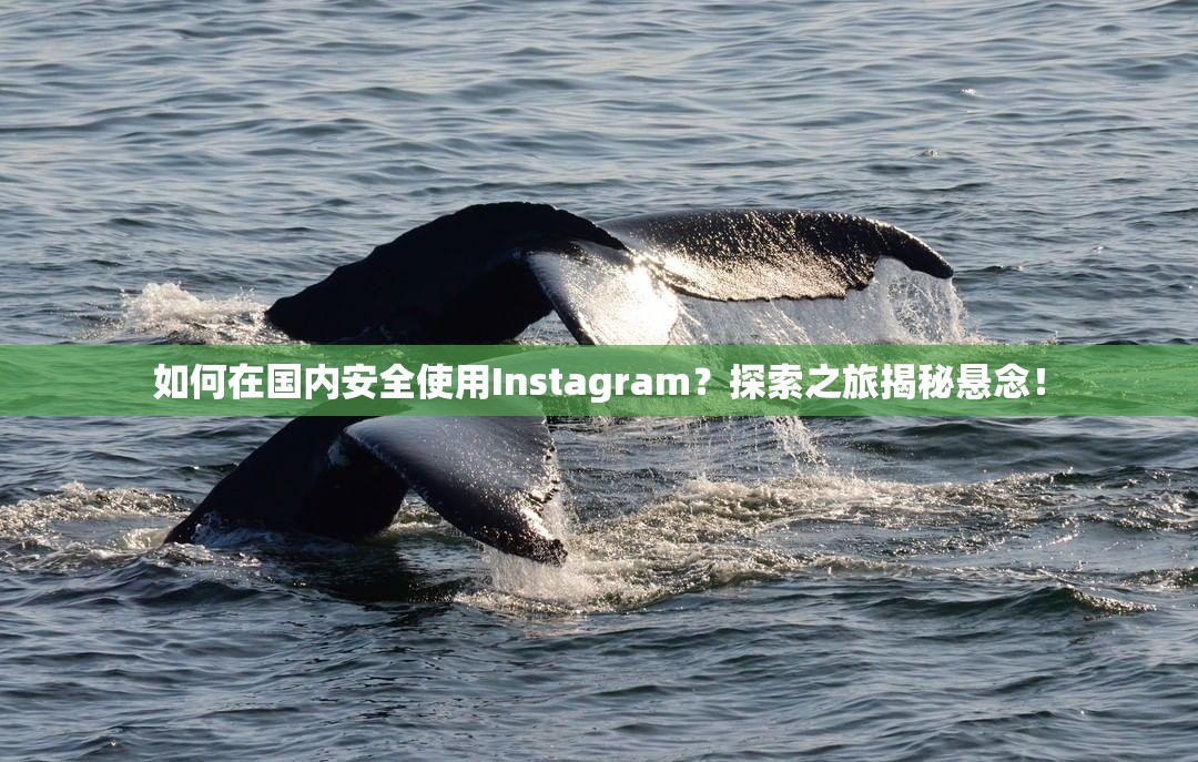 如何在国内安全使用Instagram？探索之旅揭秘悬念！