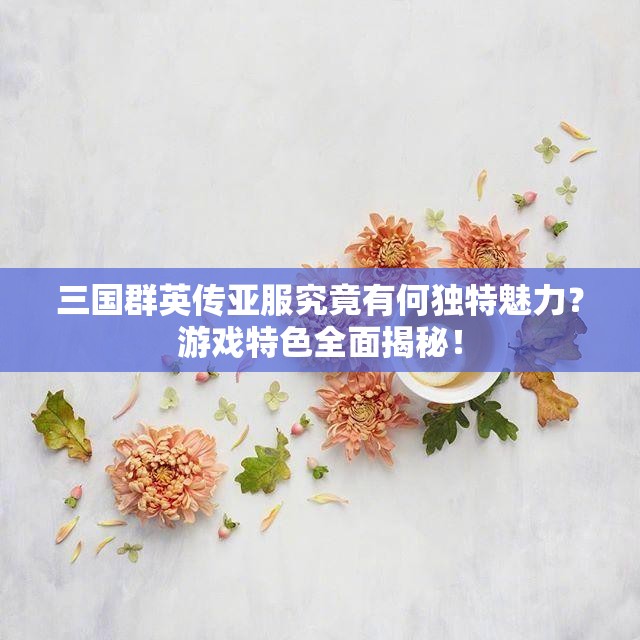 三国群英传亚服究竟有何独特魅力？游戏特色全面揭秘！