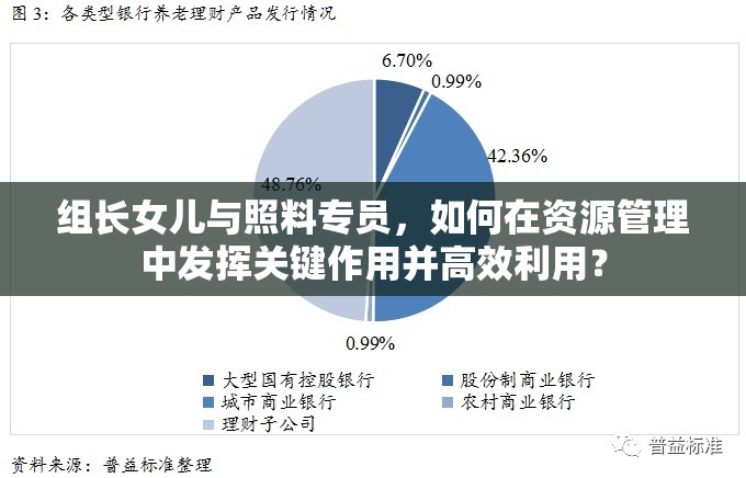 组长女儿与照料专员，如何在资源管理中发挥关键作用并高效利用？