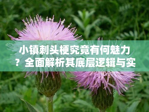 小镇刺头梗究竟有何魅力？全面解析其底层逻辑与实战应用揭秘