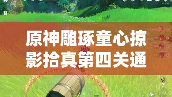 原神雕琢童心掠影拾真第四关通关秘籍，详细攻略方法你真的掌握了吗？