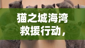 猫之城海湾救援行动，如何解锁并掌握你的专属主题猫秘籍？