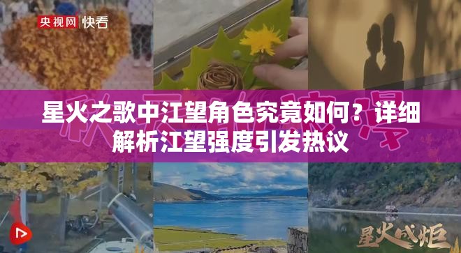 星火之歌中江望角色究竟如何？详细解析江望强度引发热议