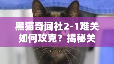 黑猫奇闻社2-1难关如何攻克？揭秘关卡演变史，你能否解开谜题？